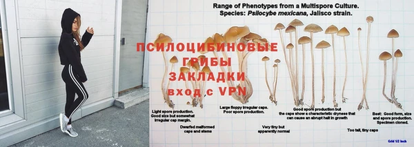 MESCALINE Балахна