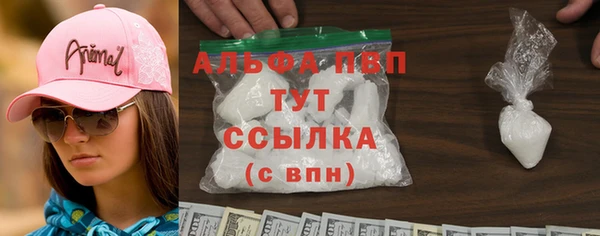 эйфоретик Баксан