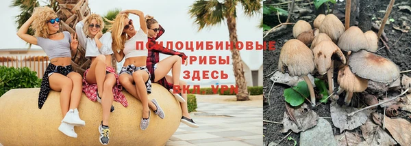 эйфоретик Баксан