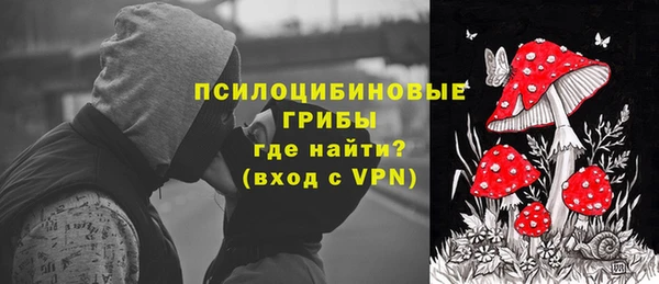 эйфоретик Баксан