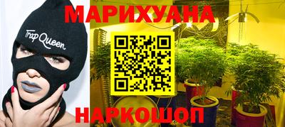 сатива Шахты