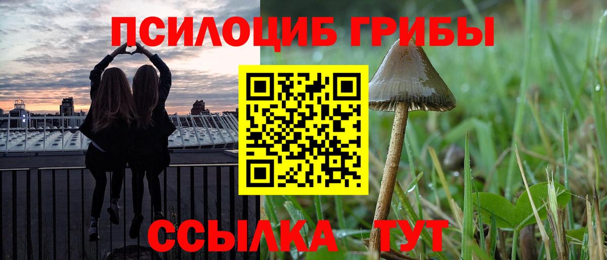 Баксан  Псилоцибиновые грибы Psilocybe  Вход с VPN 