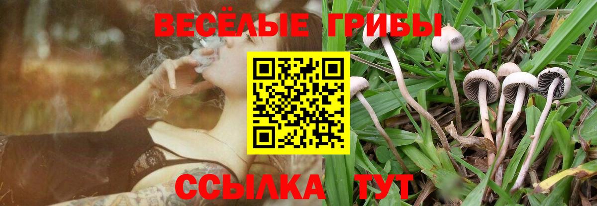 Галлюциногенные грибы Cubensis Баксан